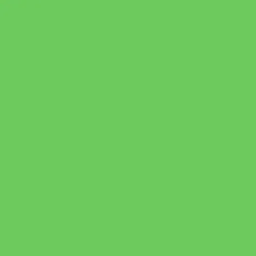 Rosco Roscolux 4460 CC 60 Green 2 Stop v:7159460