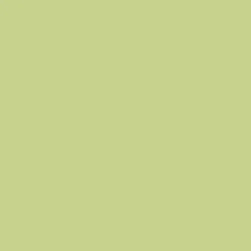 Rosco E-Colour+ 244 Plus Green v:8390477